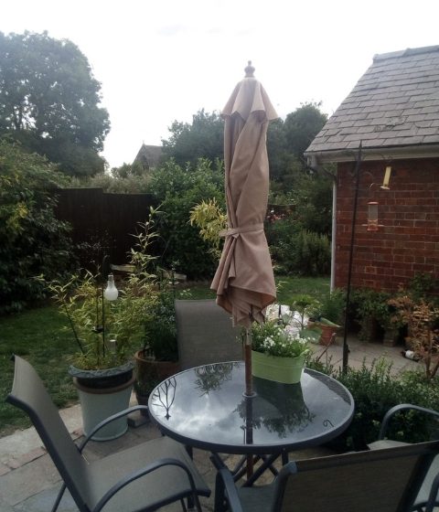 After umbrella replacement canopy1