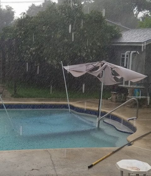 Before - Umbrella Replacement Canopy