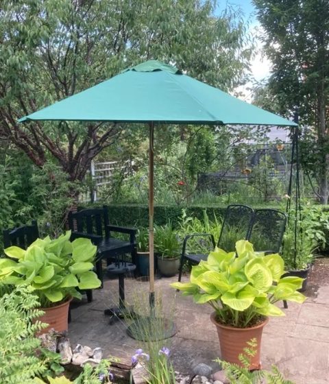 Umbrella replacement canopy